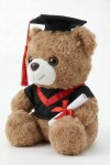 osito graduado, peluche de graduación, regalo fin de curso, recuerdo graduación, peluche con birrete, regalo para estudiante, peluche escolar