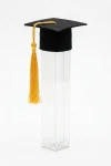 tubo para diplomas - Tubo Elegante para Diplomas de Graduación negro – set de 6 (2)